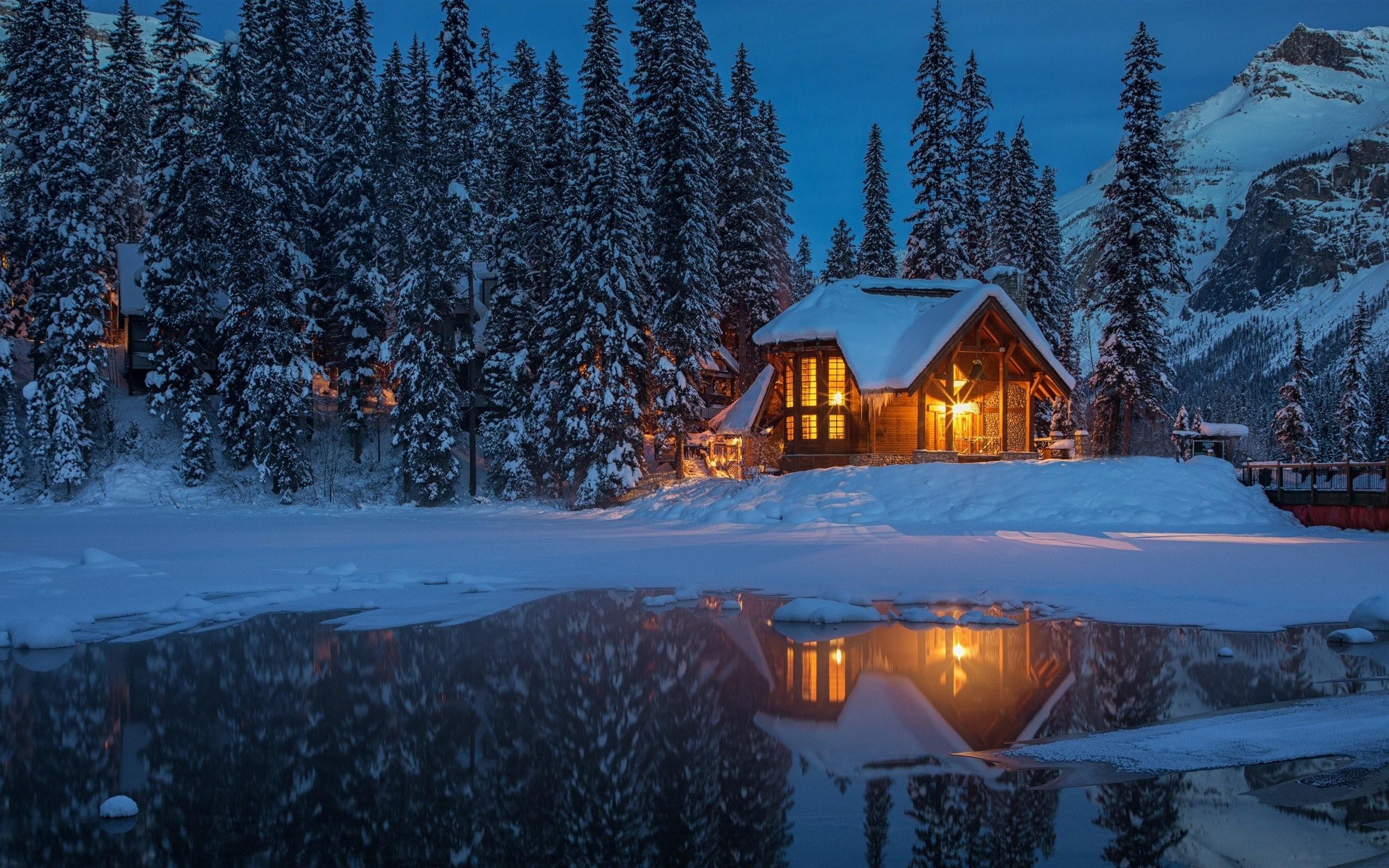 Мы построим дом вашей мечты